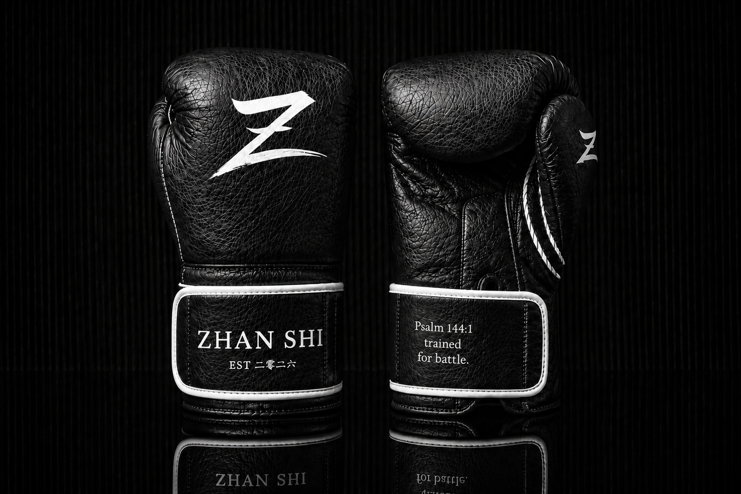 ZHAN SHI CORE TRAINING VELCRO GLOVE