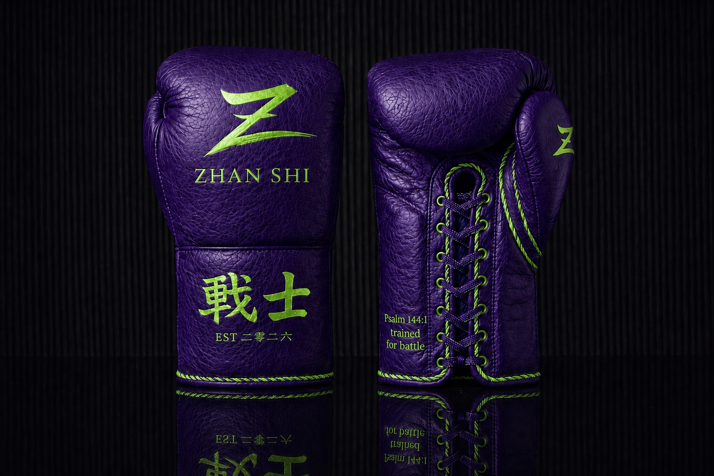 ZHAN SHI CUSTOM SPARRING GLOVE