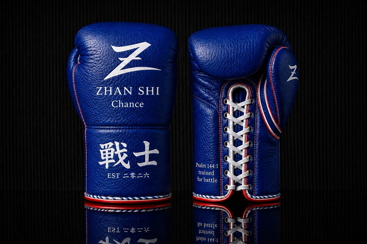 ZHAN SHI CUSTOM BAG GLOVE