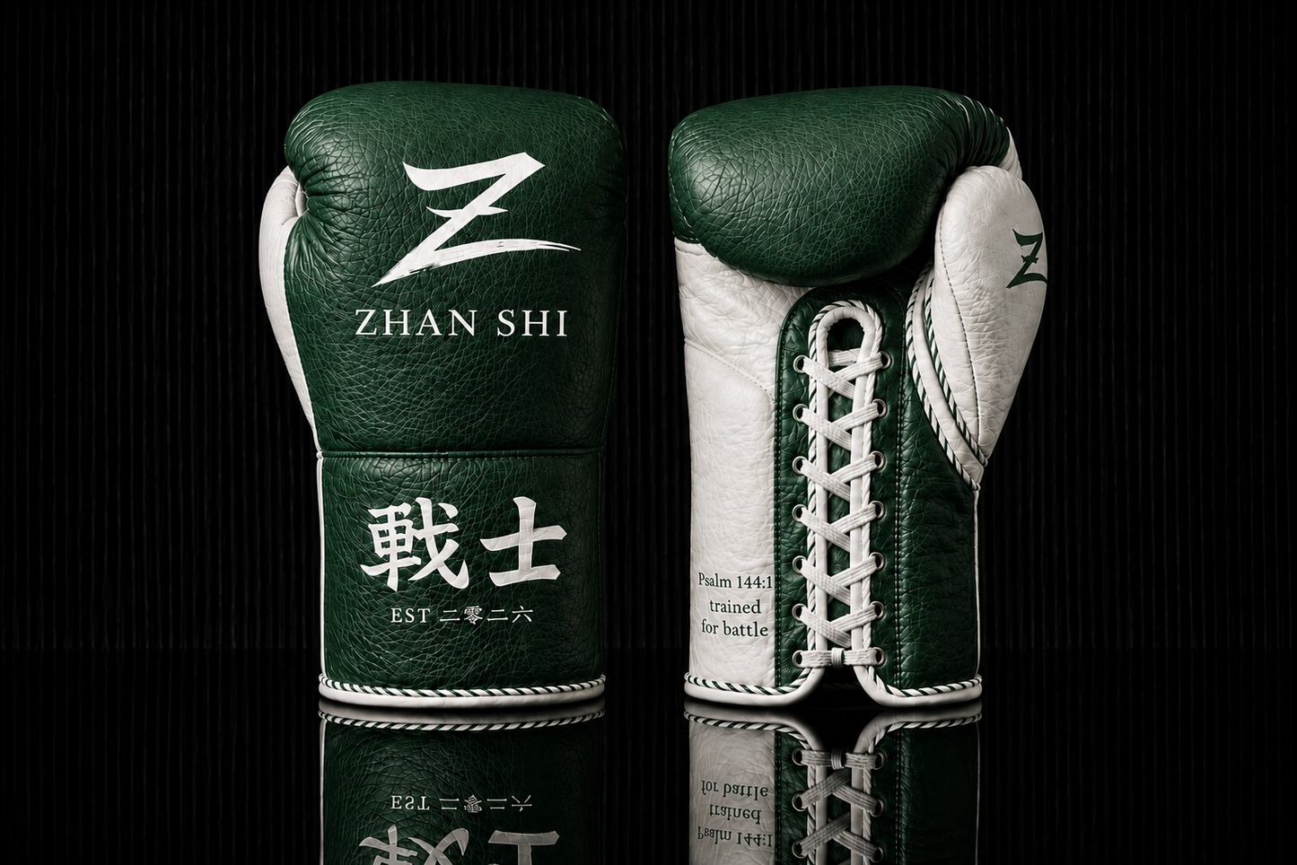 ZHAN SHI HORSE HAIR SPARRING GLOVE