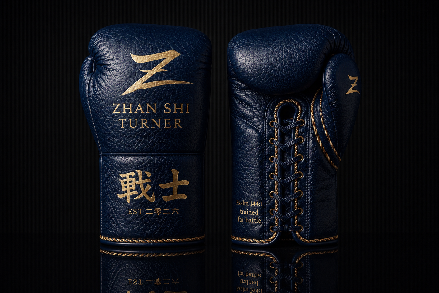 ZHAN SHI CUSTOM SPARRING GLOVE