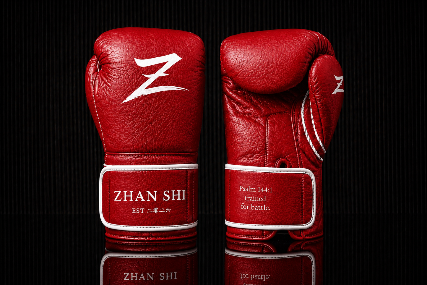 ZHAN SHI CORE TRAINING VELCRO GLOVE